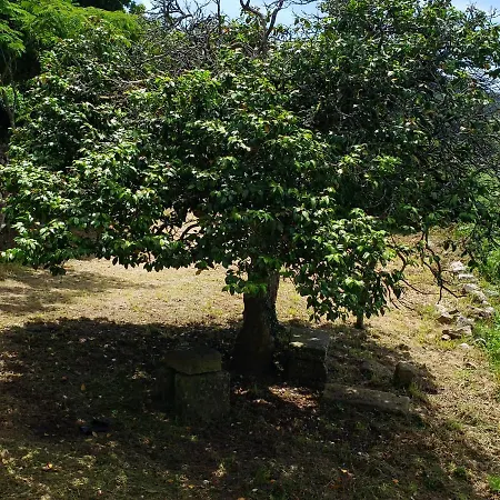 酒店 Casa Rural Do Fontan