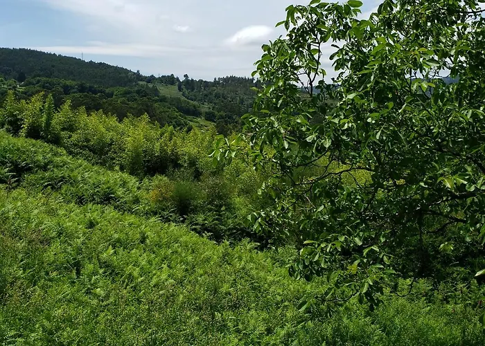 Casa Rural Do Fontan ホテル