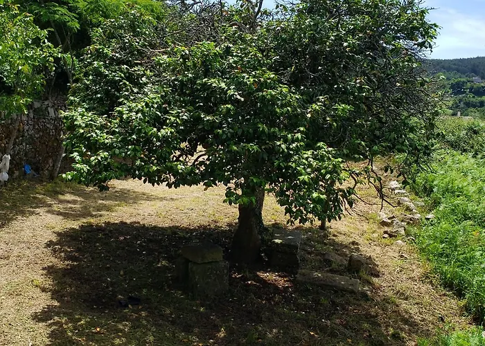 ホテル Casa Rural Do Fontan